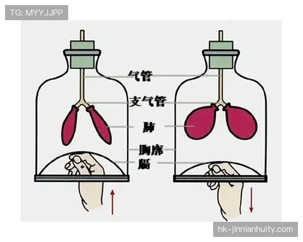 奥尔莫肋部渗透与小范围配合解析 奥尔莫肋部渗透与小范围配合解析